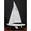 Etchells custom model