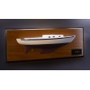 Vineyard Vixen 29 half model