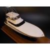 Paul Mann 77 custom model
