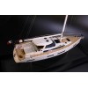 AMEL 50 amazing custom model