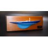IOD custom half model with deck details
