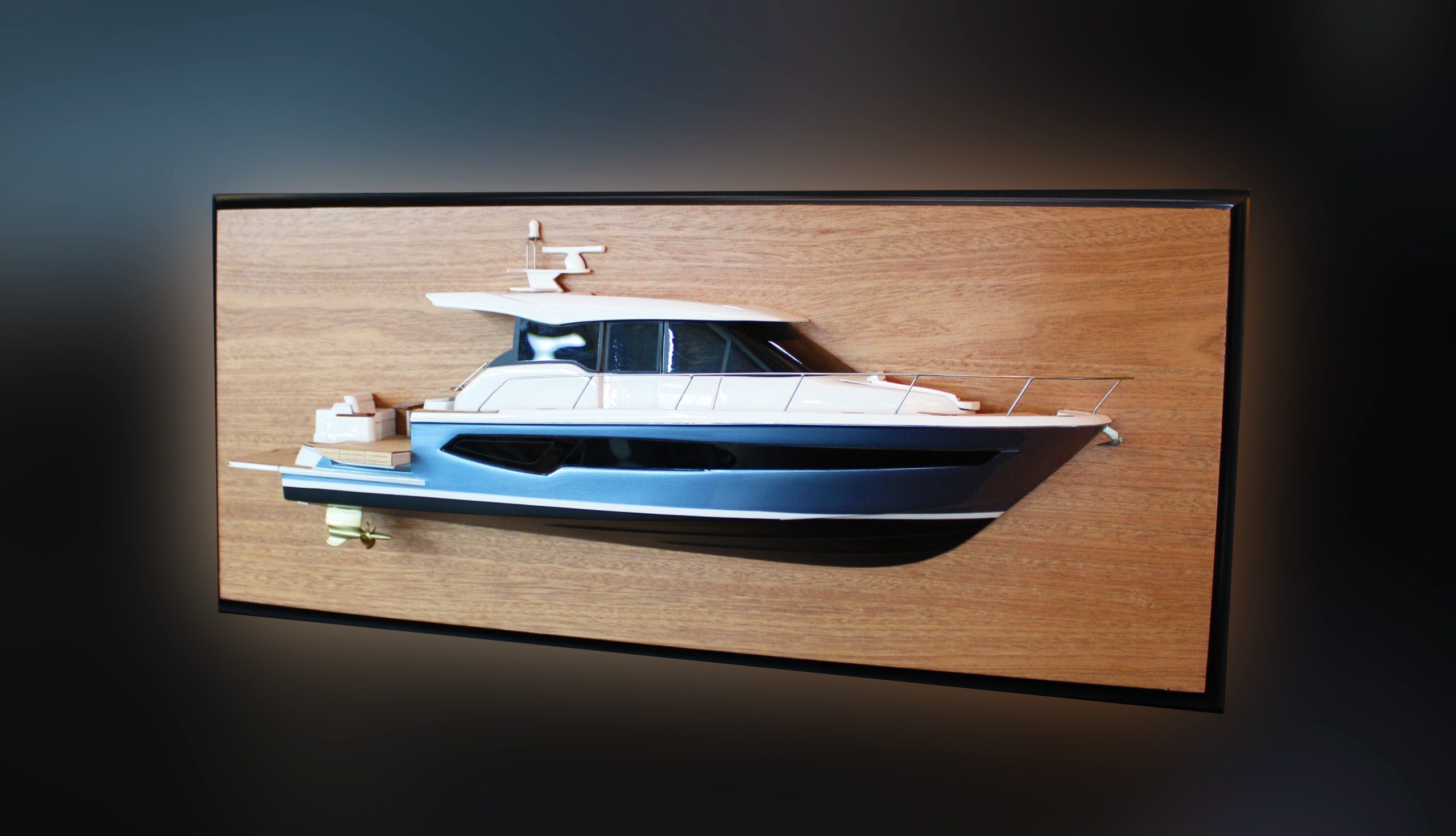 Tiara EX54 RF008 custom half model - Image 3