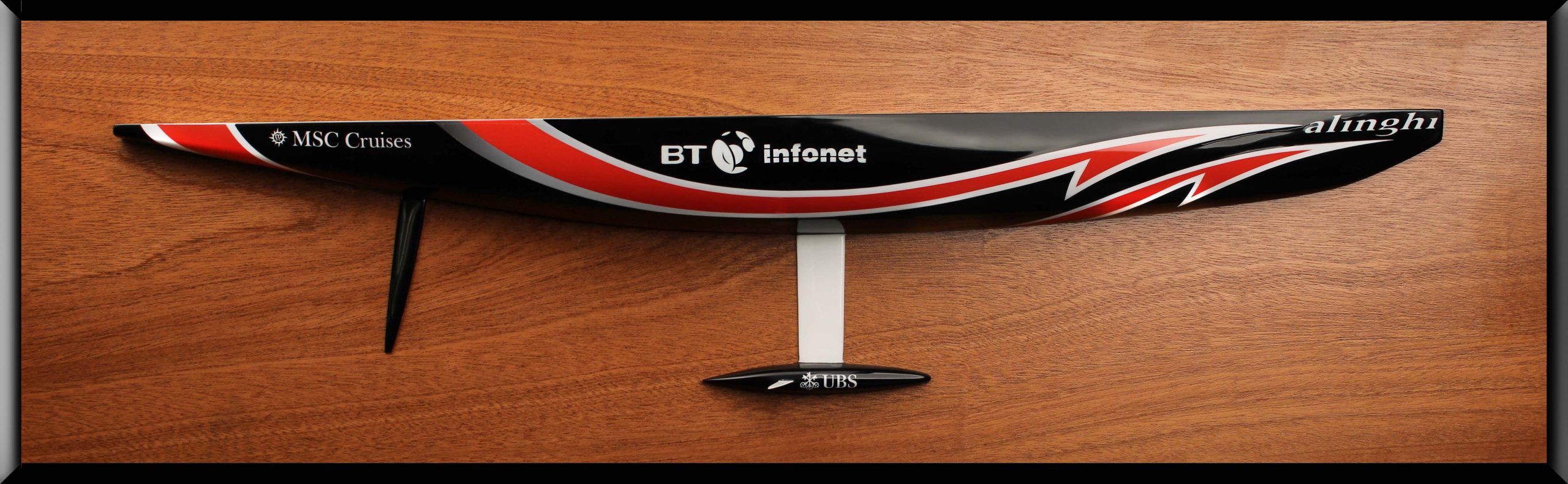 Alinghi SUI 100-Custom Half Hull - immagine 2