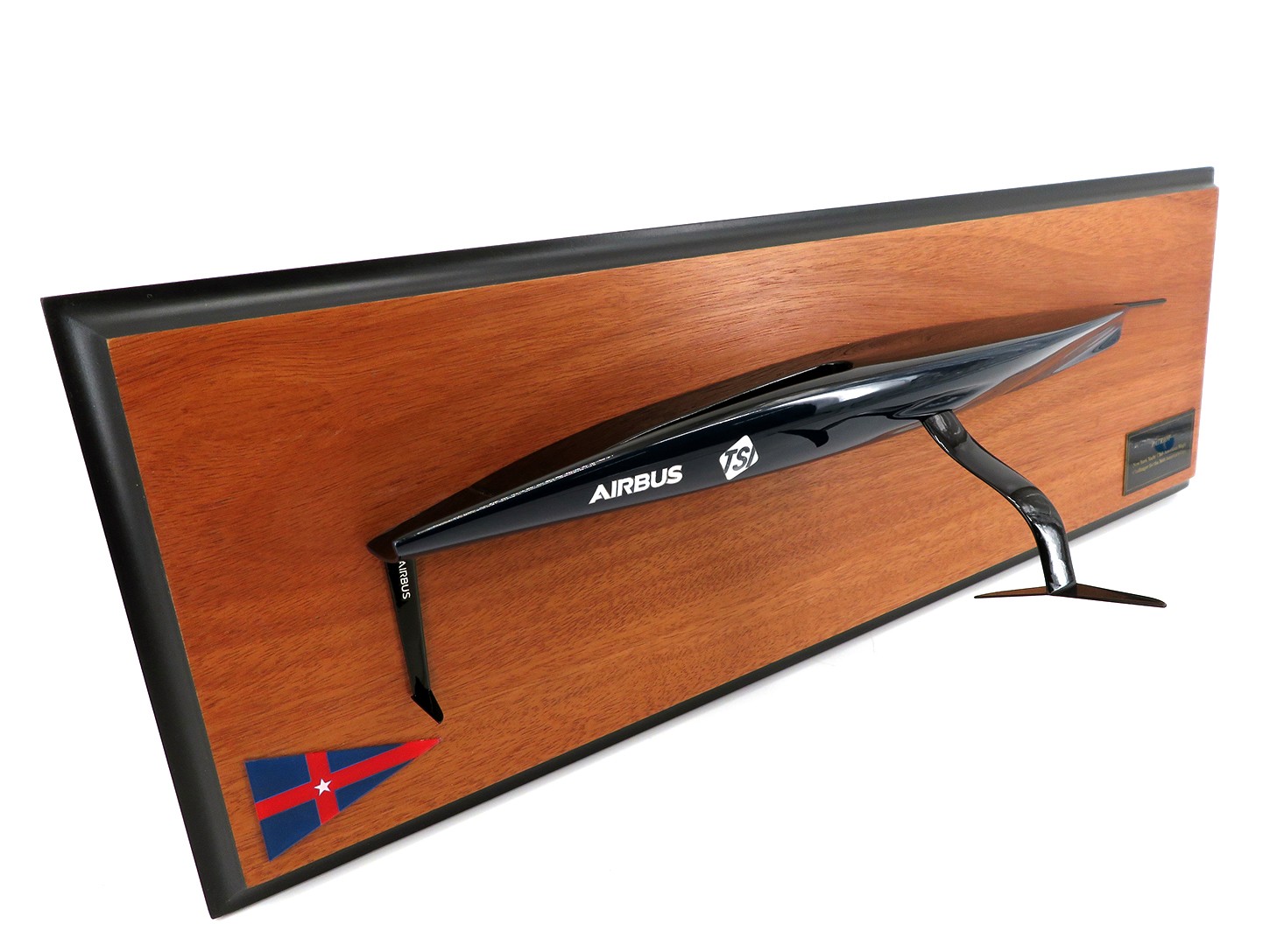 Custom Half Models - - AC 75 PATRIOT half hull MM-100 - Abordage