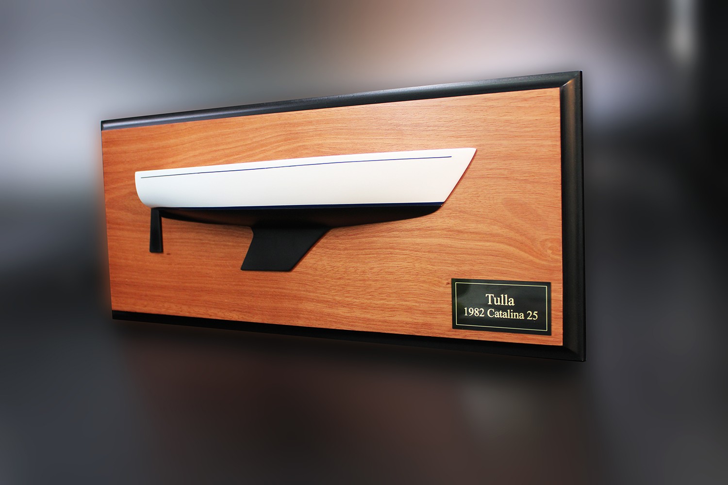 Catalina 25 of 1982 custom half hull