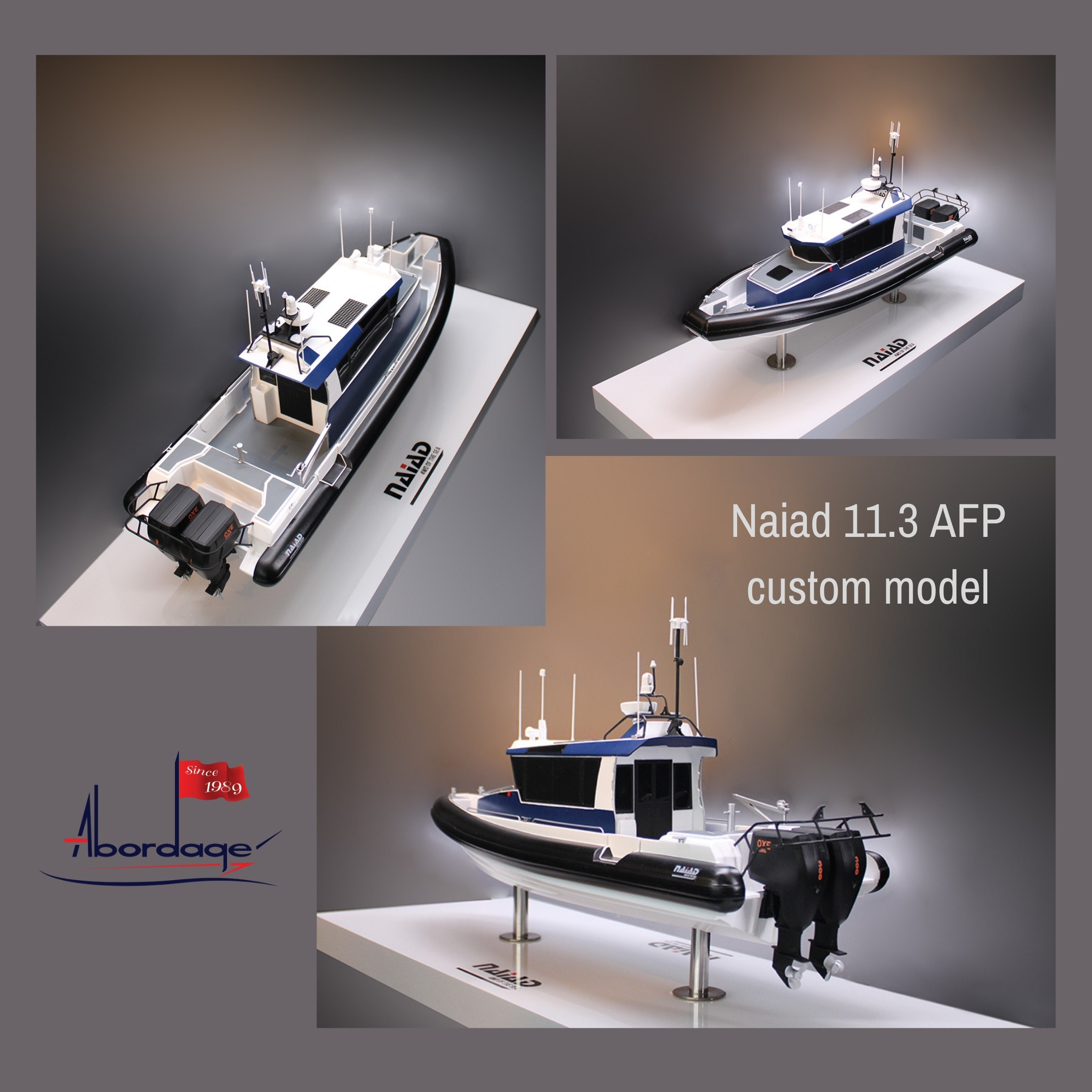 NAIAD 11.3m AFP/Pacific variant model